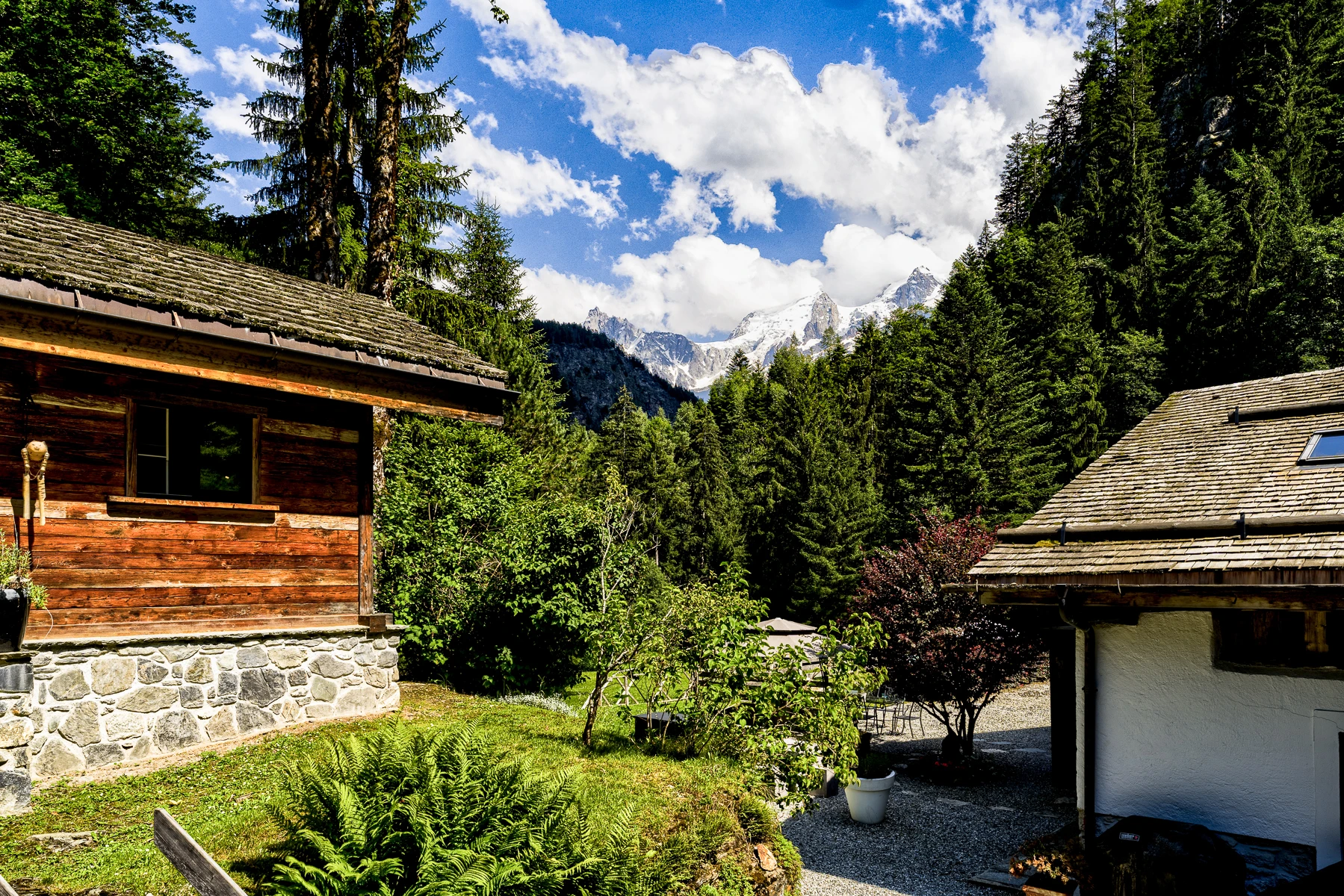 Photo de la vue depuis la terrasse, vur sur les montagnes et les sapins