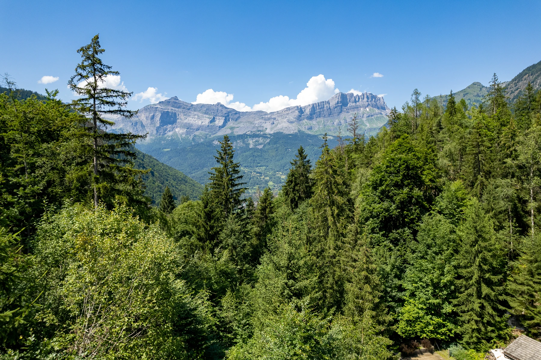 Photo des Alpes, vue des montagnes et de l'AIguille du Midi depuis le chalet