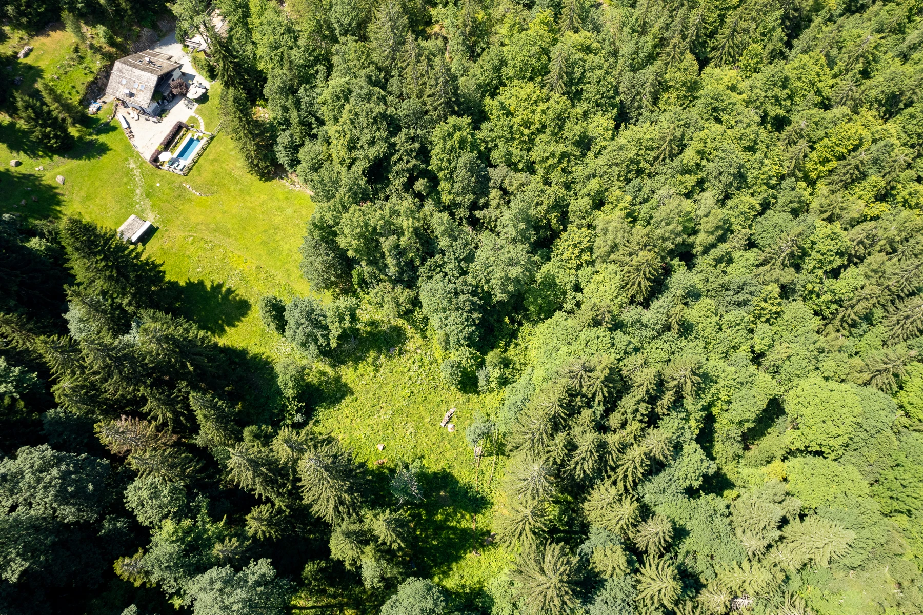 Vue de haut du jardin, deux immenses terrasses de pelouse entourée de sa foret