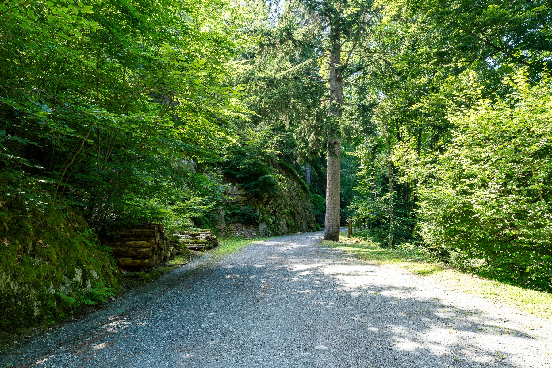 Photo du chemin privée, accès à la maison par la route, après la barrière